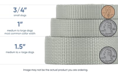 Dog Collar Width