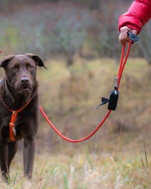 Waterproof Dog Leash