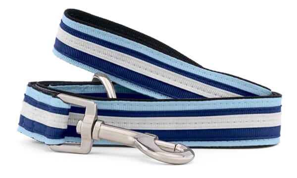 striped comfort dog leash
