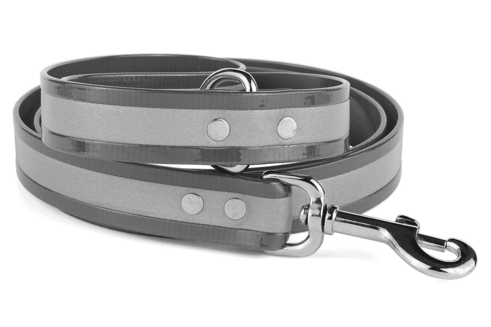 reflective leashes and collars